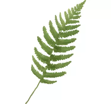 Fern leaf plant decals - TenStickers