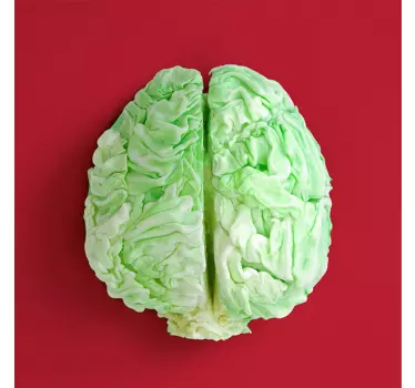 Cabbage brain visual cuisine wall sticker - TenStickers