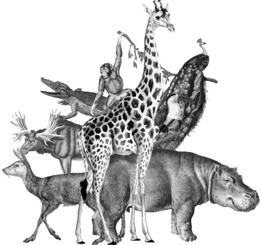Big jungle animals wild animal sticker - TenStickers
