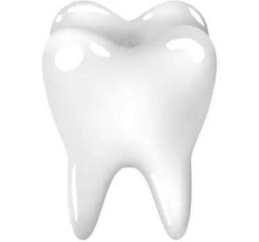 Molar Tooth Sticker - TenStickers