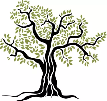 Black Olive tree with green leaves  bedroom sticker - TenStickers