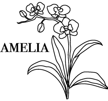 Wall sticker customizable orchid flower design - TenStickers