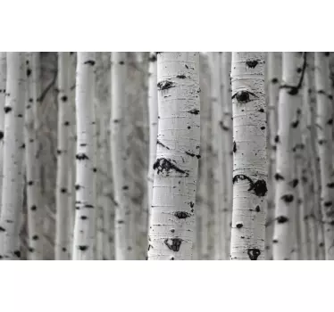 White birch tree forest vinyl print wall decal - TenStickers