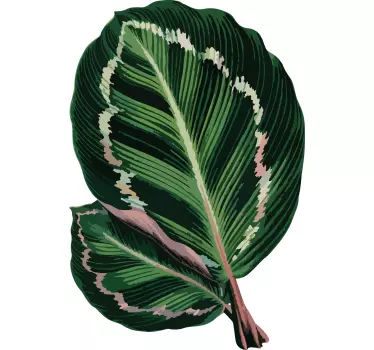 Green red maranta leaves flower wall decor - TenStickers