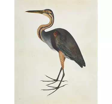 Heron Bird Sticker - TenStickers