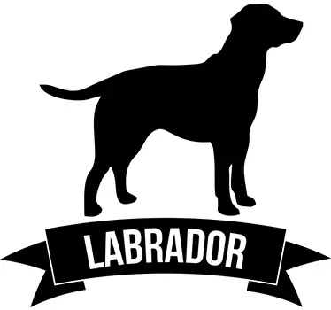 Labrador Dog Breed Wall Sticker - TenStickers