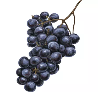 Black grapes food wall sticker - TenStickers
