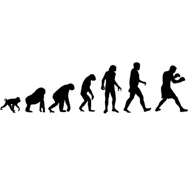 Boxer Evolution Wall Sticker - TenStickers