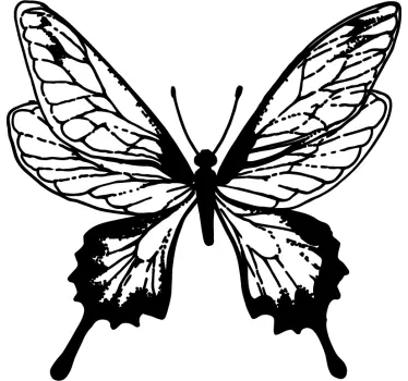 Butterfly Illustration insect wall sticker - TenStickers