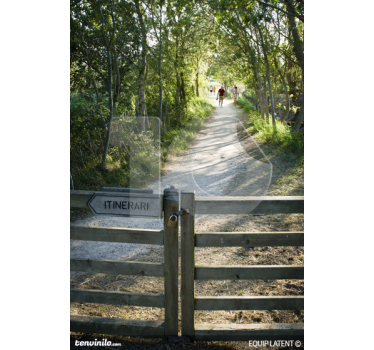 Footpath Wall Sticker - TenStickers