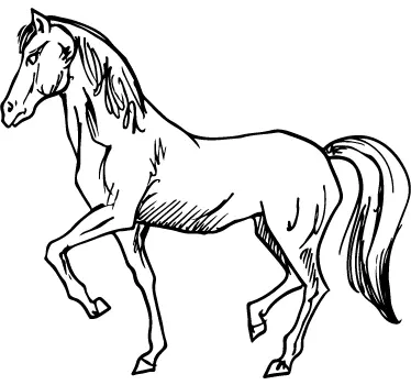Horse Drawing Wall Art Sticker - TenStickers