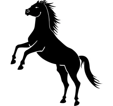 Horse Stallion Wall Sticker - TenStickers