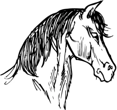 Horse Wall Art Decal - TenStickers