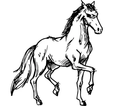 Horse Wall Art Sticker - TenStickers