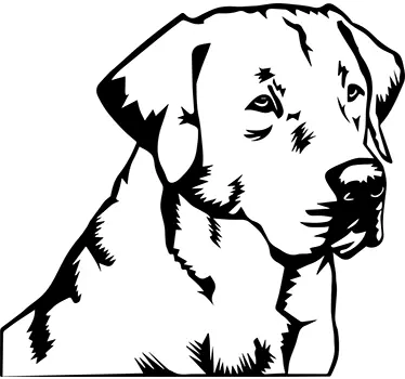Labrador Retriever Sticker - TenStickers