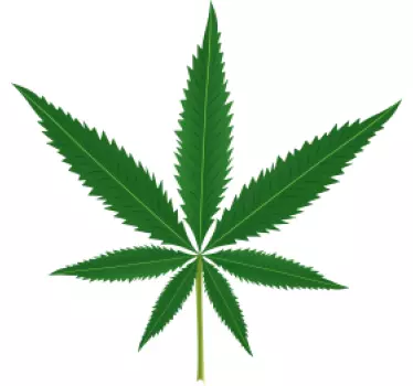Marijuana Wall Sticker - TenStickers