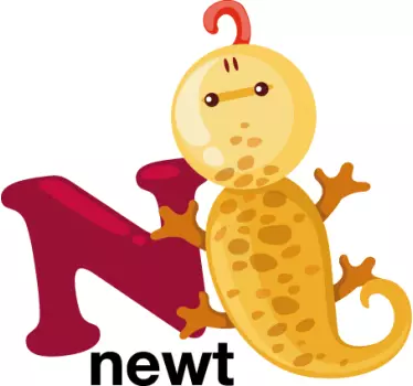 N for Newt kids sticker - TenStickers