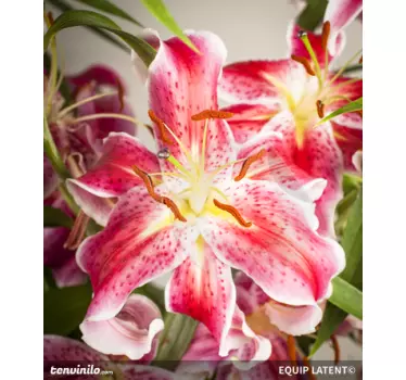 Open Lily Wall Mural - TenStickers