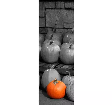 Photography Pumpkins Fridge Sticker - TenStickers