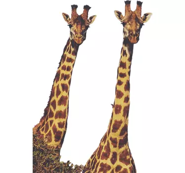 Realistic Giraffes Wild Animal Sticker - TenStickers
