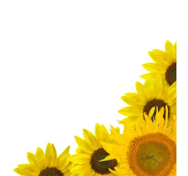 Sunflower Corner Wall Sticker - TenStickers