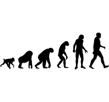 Theory of Human Evolution Wall Sticker - TenStickers
