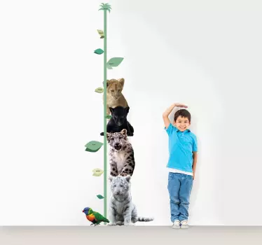 Big Cat Height Chart - TenStickers