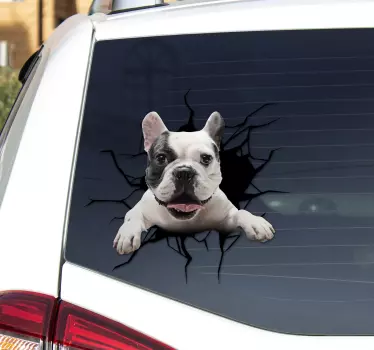 Dog Glass wall sticker - TenStickers