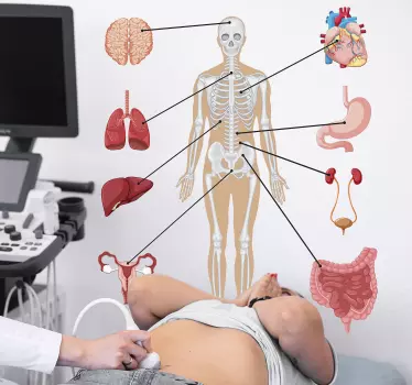 Medical infographics wall decor - TenStickers