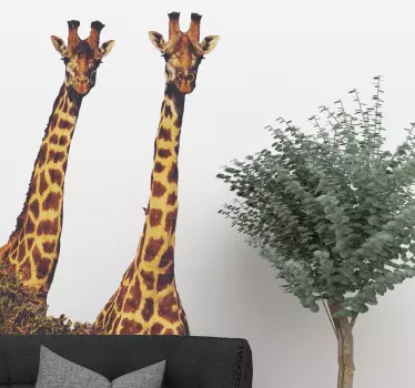 Realistic Giraffes Wild Animal Sticker - TenStickers