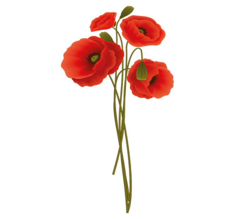 Delicate poppies bathroom vinyl rug - TenStickers