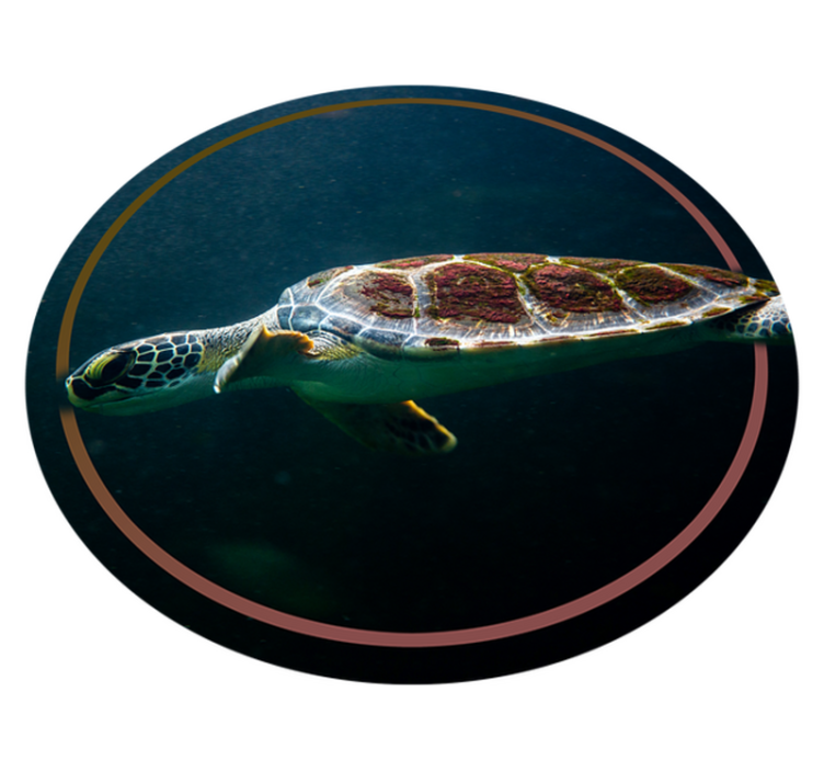 Swimming turtle animal vinyl rug - TenStickers