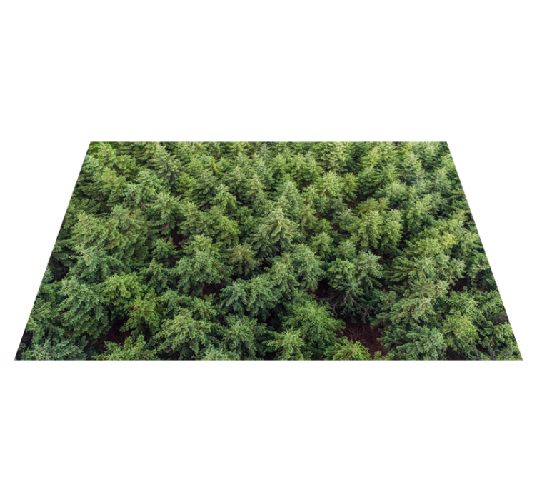 Vinyl rug for living room landscape forest - TenStickers