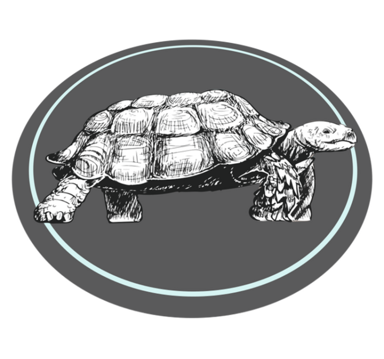 Illustrated Tortoise animal vinyl rug - TenStickers
