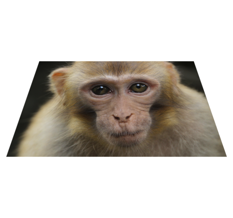 Baby monkey face animal vinyl rug - TenStickers