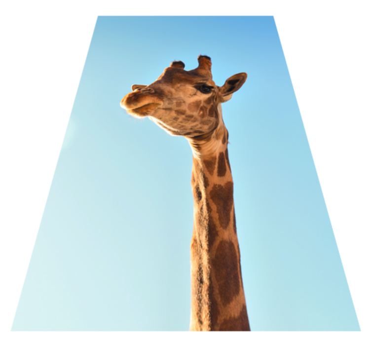 Giraffe headshot animal vinyl rug - TenStickers
