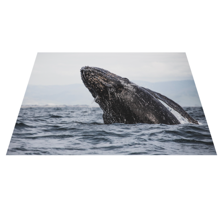 Majestic Whale Leap nature vinyl rug - TenStickers
