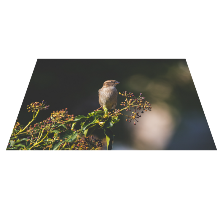 Charming Bird Perched nature vinyl rug - TenStickers