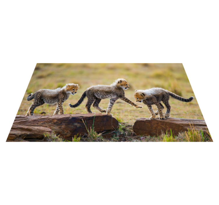 Animal cute cheetah cubs animal rug - TenStickers