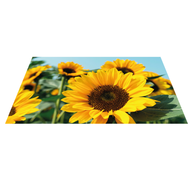 One sun flower close up floral vinyl rug - TenStickers