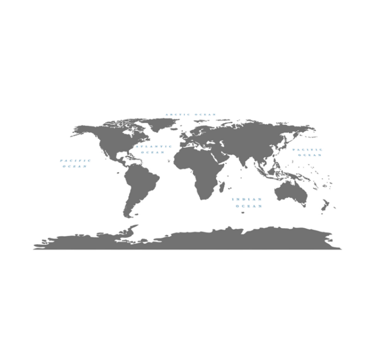 Gray continents with white background map rug - TenStickers