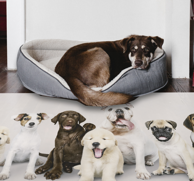 Dogs in a line animal vinyl rug - TenStickers