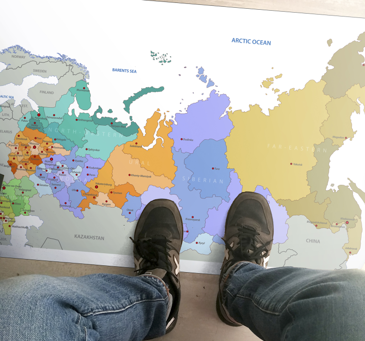 Russian Regions world map vinyl rug - TenStickers