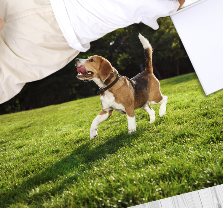 Happy beagle running animal vinyl rug - TenStickers