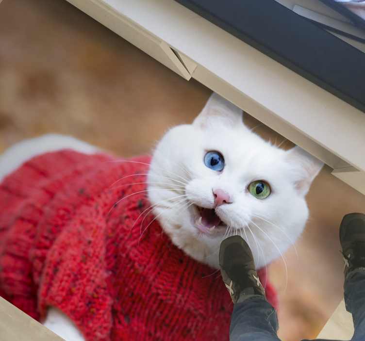 Playful Cat Sweater animal vinyl rug - TenStickers