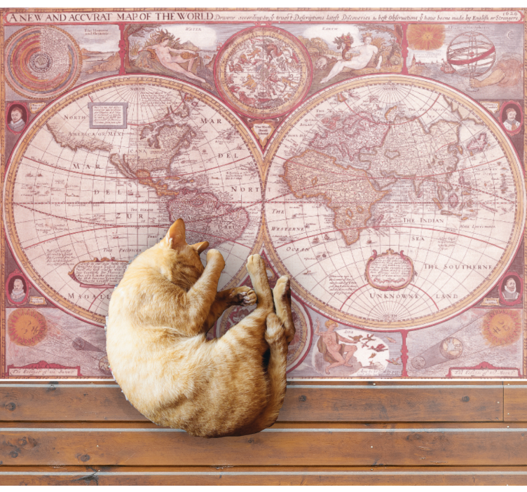 Vintage Globe Chart world map vinyl rug - TenStickers