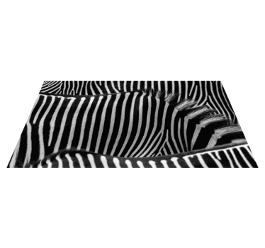Zebra skin animal print vinyl carpet - TenStickers