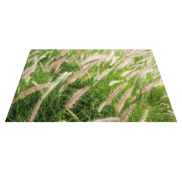 grassland entrance hall rug - TenStickers