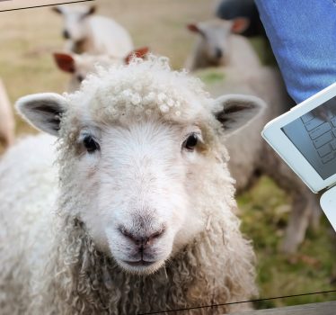 Animal sheep animal mat - TenStickers