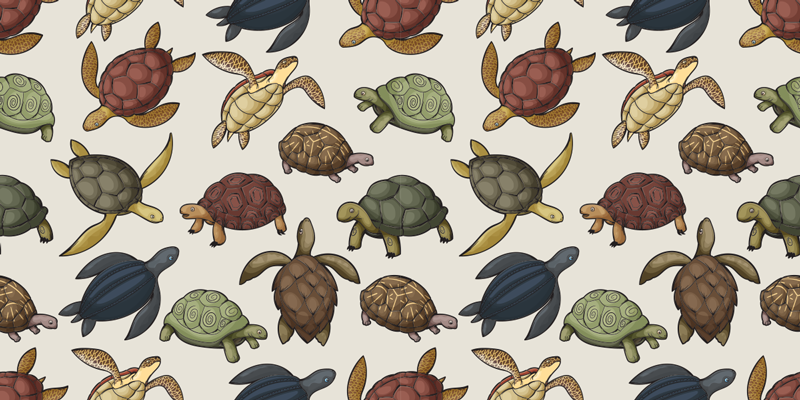 Animal vinyl rug with a variety of turtles - TenStickers